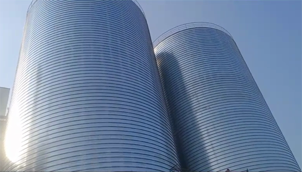 蒙自2座混凝土高架卷板仓